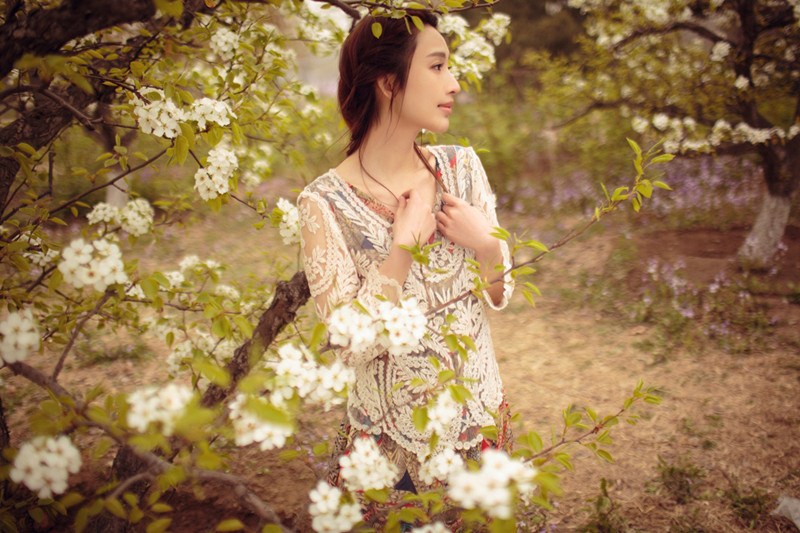 ����ɭ��ϵ��(f��)�Ō��� ������Ȼ������