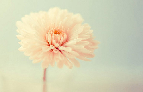 ��ĩ�_���������{(di��o)��ˮ���]