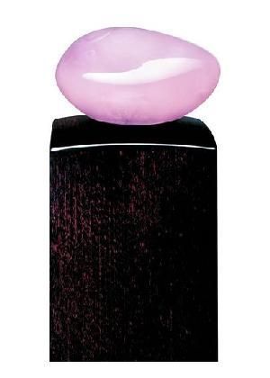 �������㱳��Ĺ���