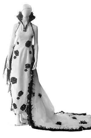 �����g����һ��Q��������