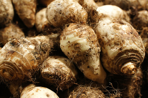 ����Ƥ�w������ô�k��׌Ƥ�wˮ�۵�10�N�߲�