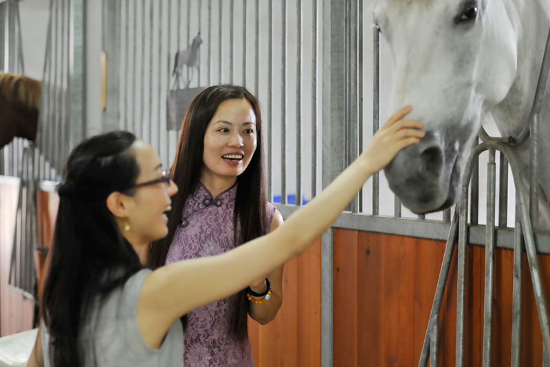 �����c�E�R ���������������M�R��