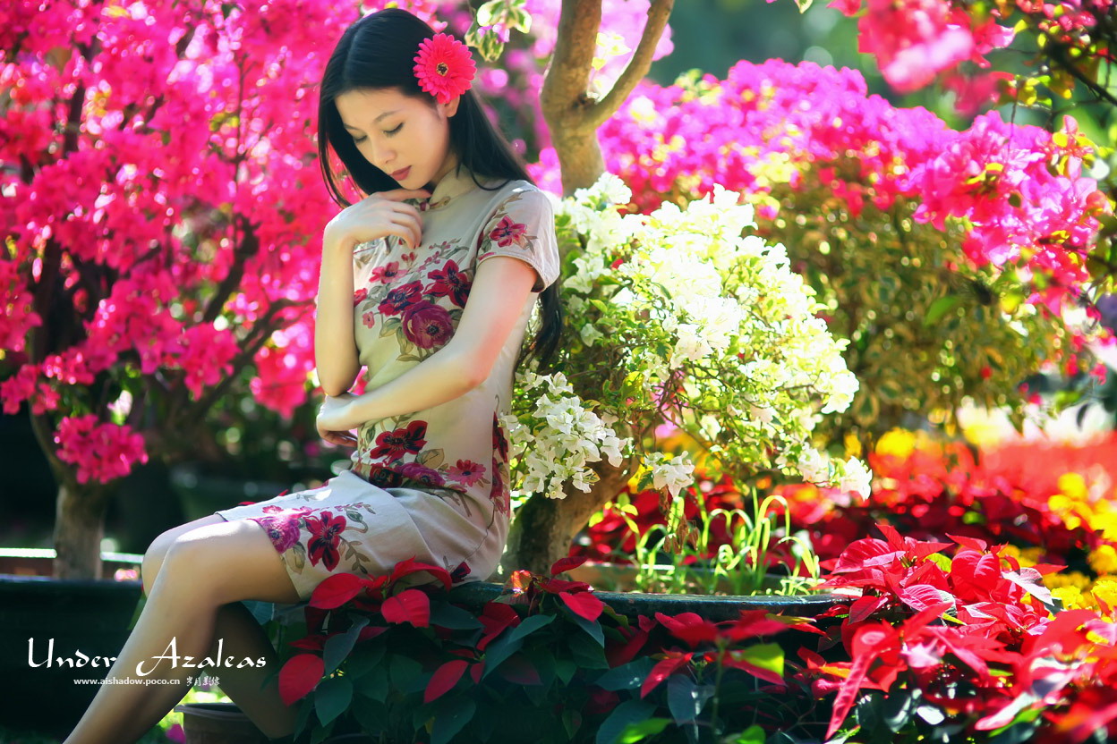 ���N����