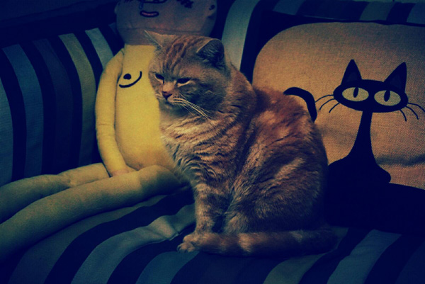 ��Խ���֮�Ϻ��f��