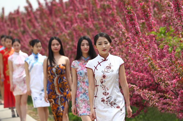 南京美女著旗袍賞花 顧盼生姿秀身段