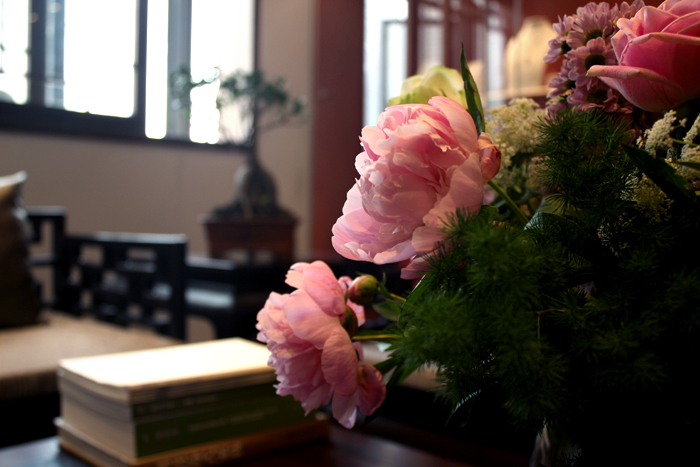 �ˇ�������M�ю����H�R���� �y��Cindy���P���f�������ۃ���