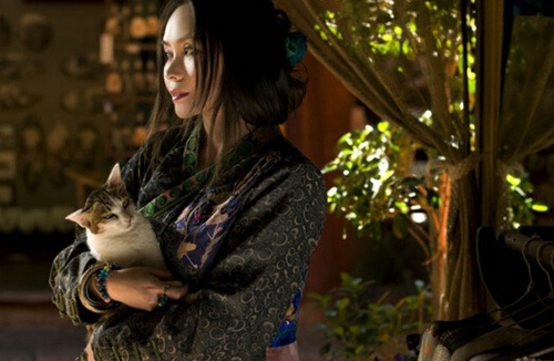 �O(sh��)Ӌ�������֣������b�������ߵ��b�ˇ�g(sh��)