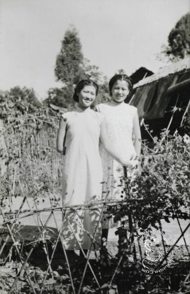 �L�˾b�s�������������Ƭ