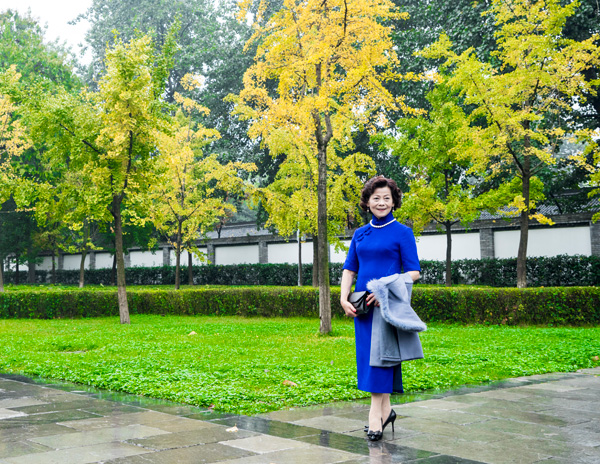 2015�����Ї������� ��������&���������R���L��