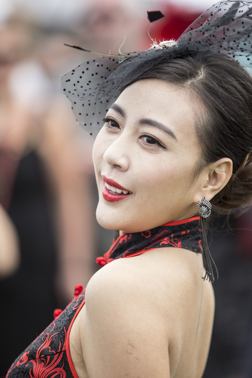 �D�����|������ī���������G