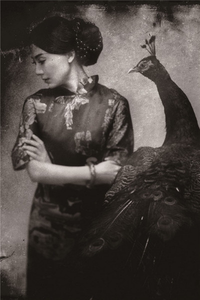 �ŵ�Ů���l�������ۣ�