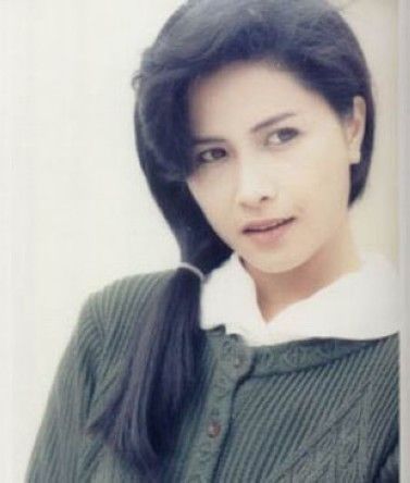 TVB 40年十大美麗花旦