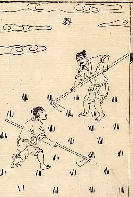 ���ح���������һ�����崩�����ϵ�����