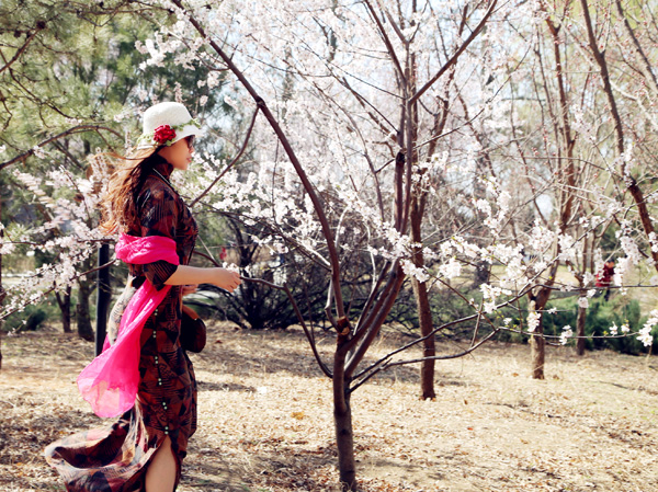 Let's go!׌�҂����������Þt�t����