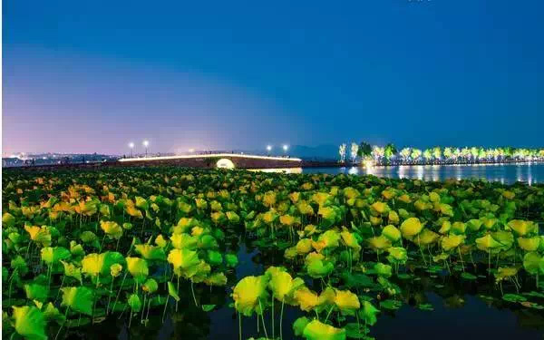 ��֮�{ | �����۵�����