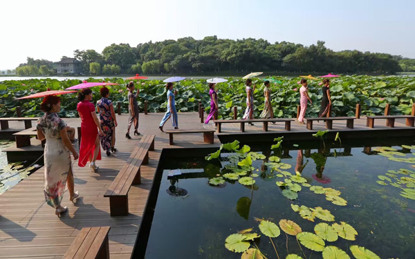 ��֮�{ | �����۵�����