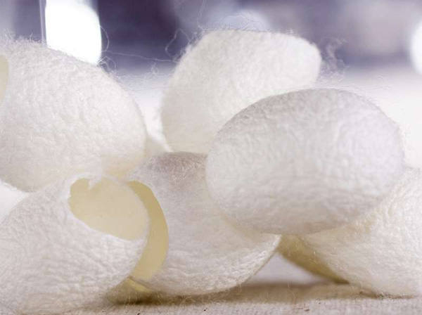 �K�C | ָ���ϵ�ǧ�꽭��