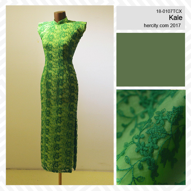 ����Ҫ����һ�����A�ǾW(w��ng)�l(f��)��2017������������ɫڅ��