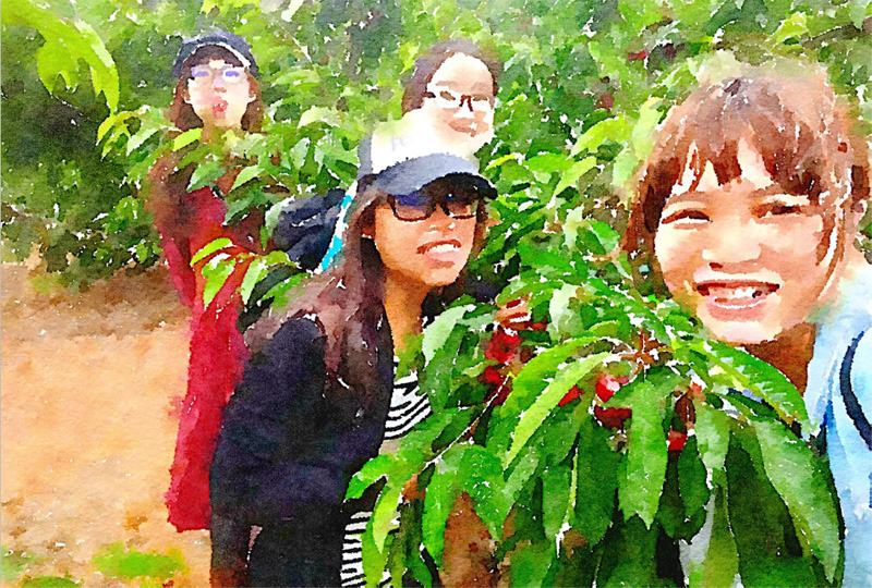 ���A�LՄ | �����۵�100λ�����