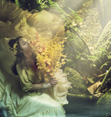 �����z�����ɾ� ɭ��ϵ���ɫϵ���