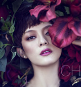 �O���������ӡ������Ƭ �����һ����[������L��