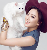 ����_�c؈���茑�� ������Ƥ�ɐ�