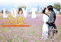 ����𻨡�ײ�������ڴ��졷 ��ͬһƬ޹�²���