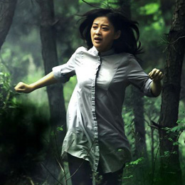 ���P�ɡ�÷���V���ĵ���������ơ�