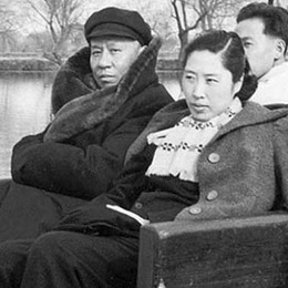 ����������༵�޵���Ƭ