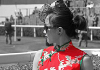 ���{���A�����ڄe̎