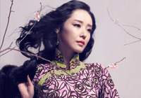 ���۵������(f��)���c��ʽĦ��