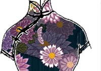 ����ģ����ӻ� ��������