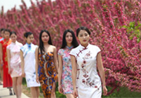 �Ͼ���Ů�������p�� �������������