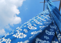 �����箋����z�����LȾ��ˇ