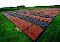 ���Ƽ�--�������ܛ�S��