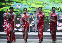 <em>2015</em>���������Ļ�С����Ͽ��Qِ����������