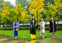 2015�����Ї���ϵ�з��� �������۴����ȫ