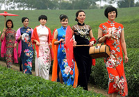 �㽭20����Ů�ɲ����������������Ŵ�����