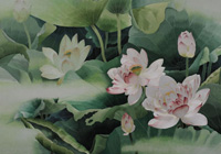 �����۵���Ů�����˽��֪�R(sh��) 